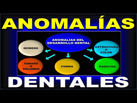 Vídeo: Quina osteogènesi imperfecta del cromosoma?