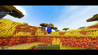 MINECRAFT X BSL SHADERS