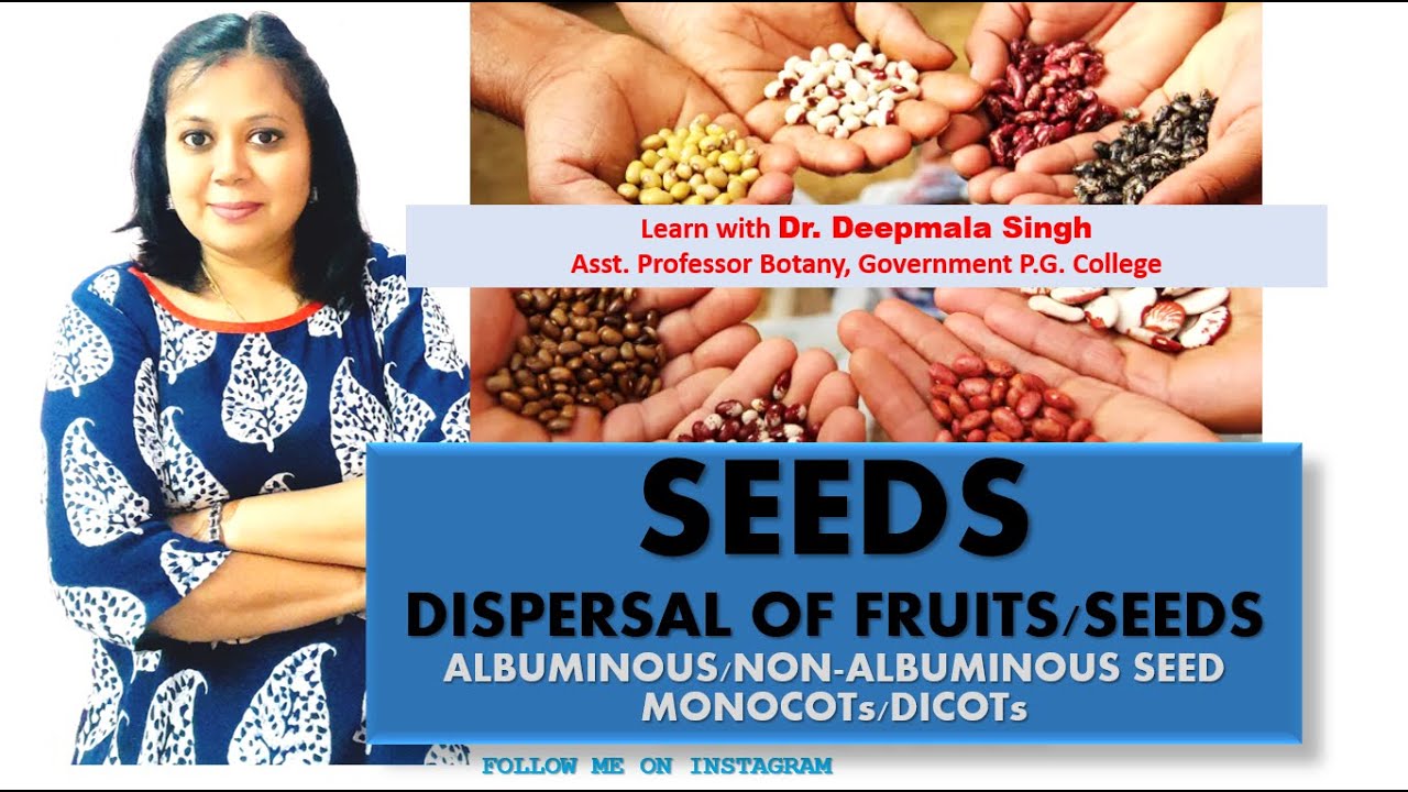 Seeds and their Dispersal/ Types of Seeds