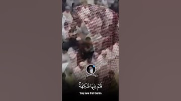 "هم وأزواجهم في ظلال على الأرائك متكئون" سورة يسٓ SURAH YASEEN #عبدالولي_الاركاني