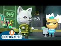 Octonauts - Long Lost Relative | Cartoons for Kids | Underwater Sea Education