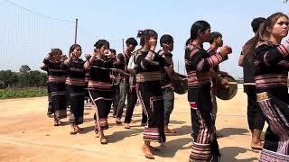 Công chiêng làng hát 1 tại nông trường ca phe chữ rồng 30/4/2026 nay Jon 81 tây nguyên 