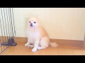 それぞれの朝。。