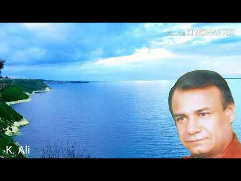 يامنهل الروح الفنان رياض أحمد 