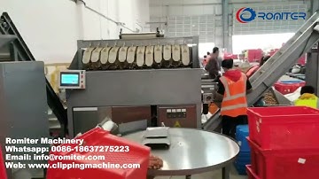 Automatic Walnut Mesh Bag Clipping Packing Machine