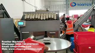 Automatic Walnut Mesh Bag Clipping Packing Machine