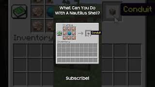 What Can You Do With A Nautilus Shell? In Minecraft!