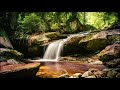 مناظر طبيعية خلابة جاهزه للمونتاج بدون حقوق طبع ونشر Beautiful Nature 
