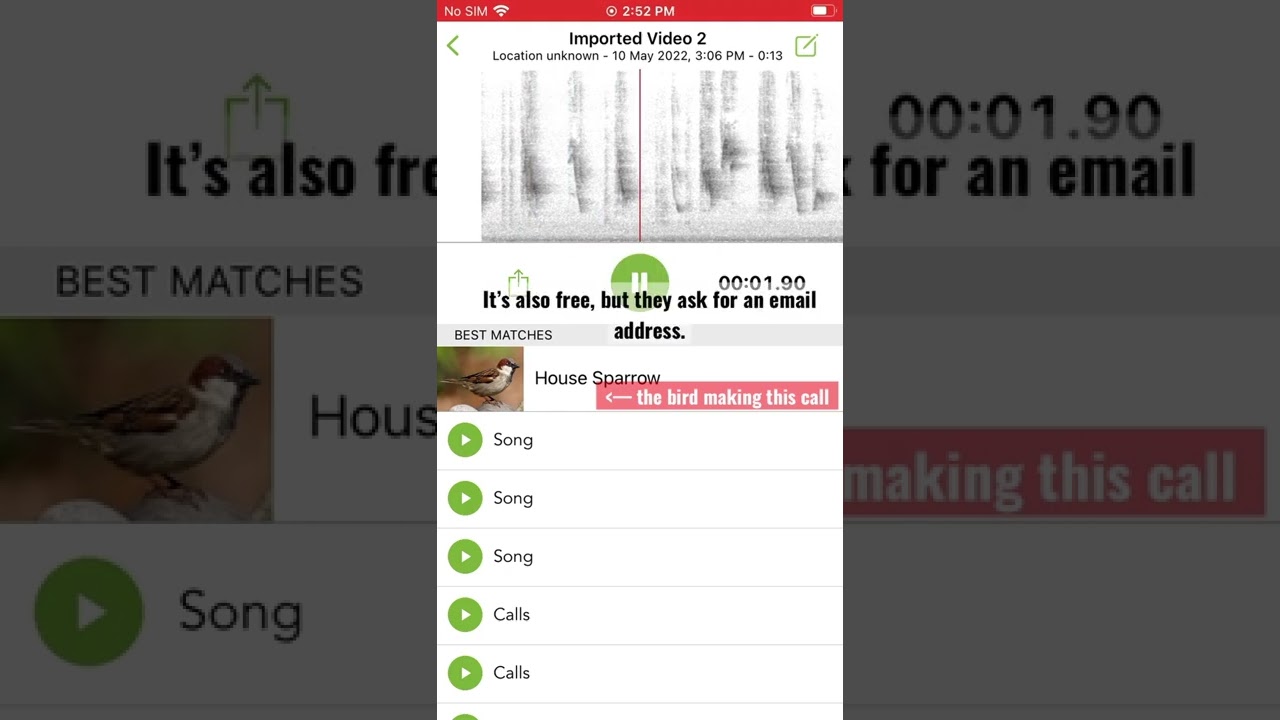 Easy way to recognize bird calls with an app