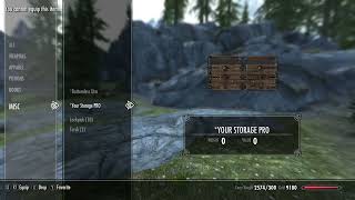 Your Storage Premium (Your Storage PRO mod upgraded)