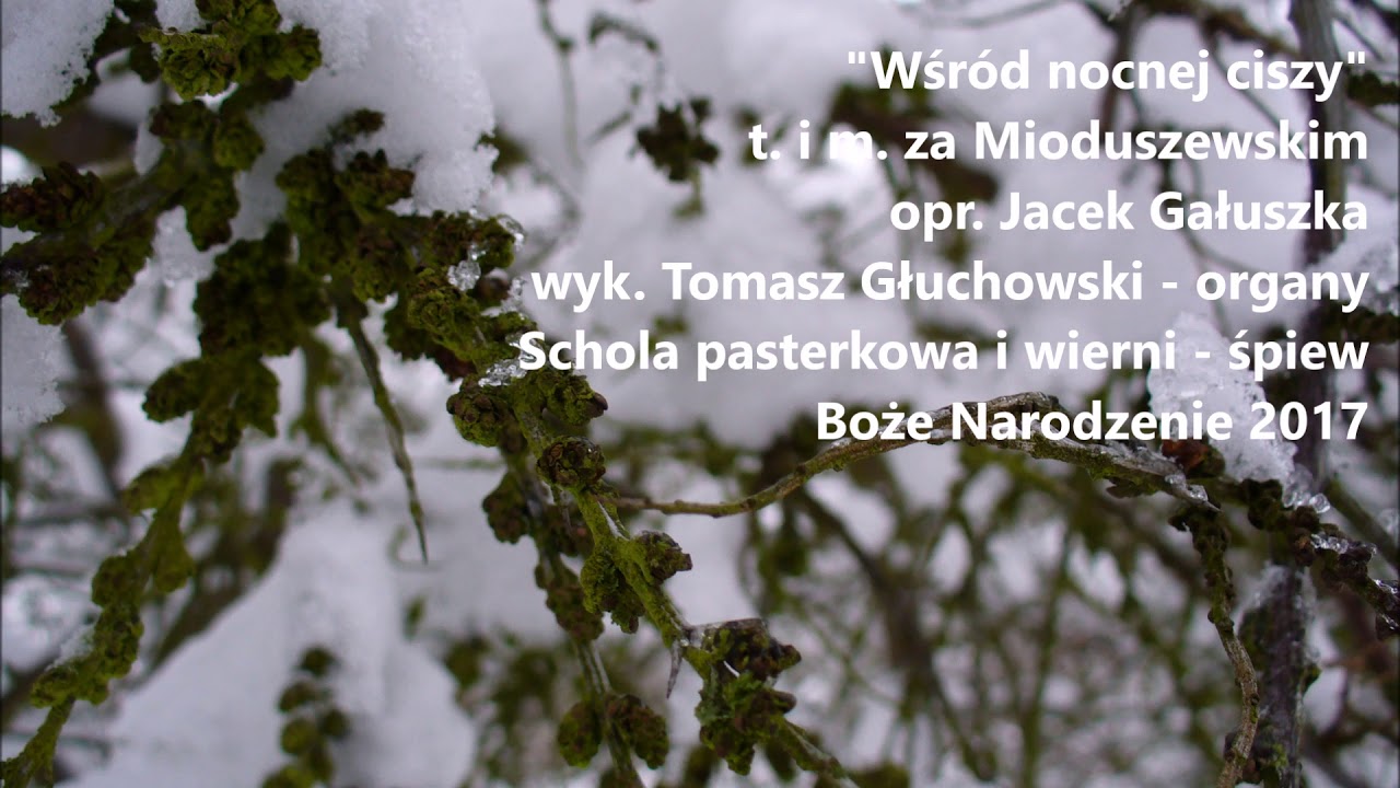 Wśród nocnej ciszy — opr. Jacek Gałuszka | Schola pasterkowa