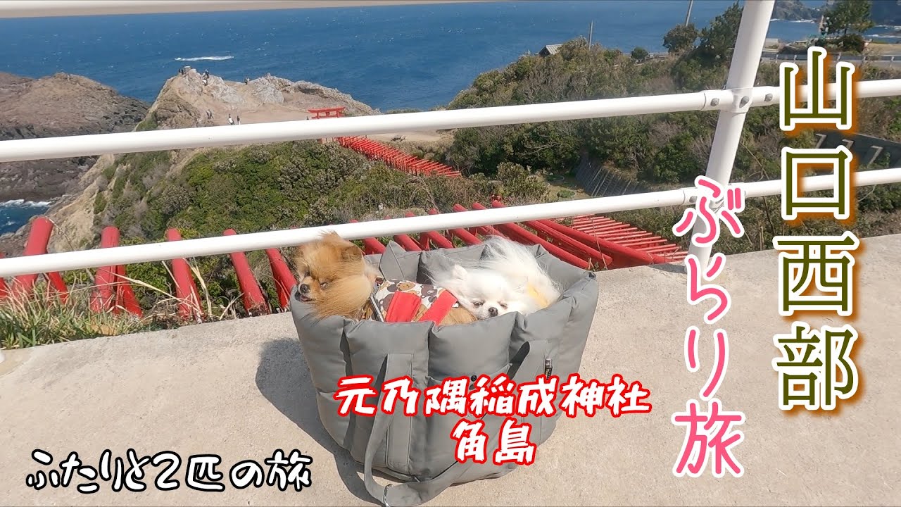 走るモップハウス【バンコン】が行く!!!山口元乃隅稲成神社と角島ぶらり旅♪