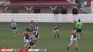 2016 STJFL Under 13B Grand Final Highlights