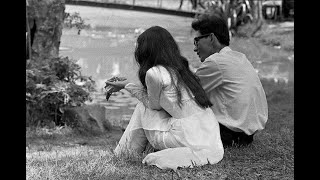 Bông cỏ may - Giang Tử