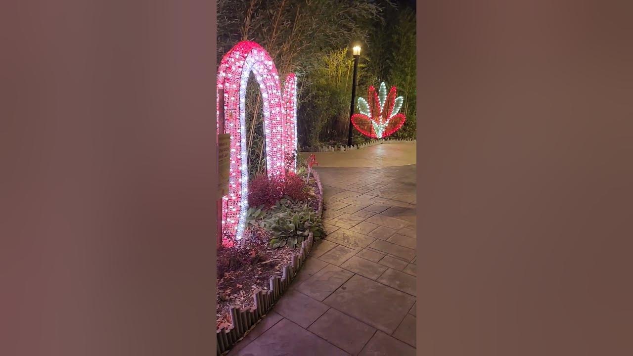 Turtle Back Zoo Holiday Lights 2023 PT 2 essexcountynj YouTube