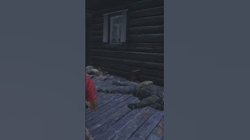 DAYZ IN A NUTSHELL #shorts #dayz #funny