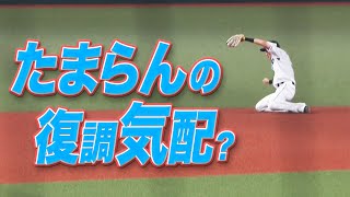 【一服の清涼剤】源田壮亮の『たまらんの復調気配』を感じたい