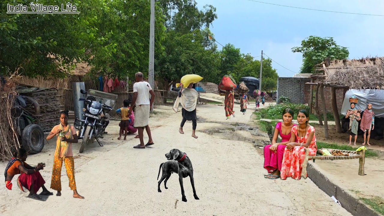 These Villages Of India Are Extremely Affected By  Floods ] This Is The Real India ] #Indianvillage​