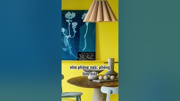Các quy tắc phối màu nội thất bạn phải biết !! #AWE #thietkenoithat #hocthietkenoithat