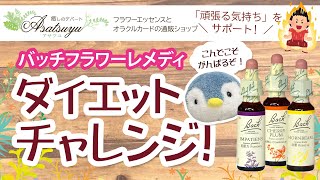 【バッチフラワーレメディ】フラワーエッセンスでダイエットチャレンジ！(ボトル作成編)[Asatsuyuスタッフ動画＃08]