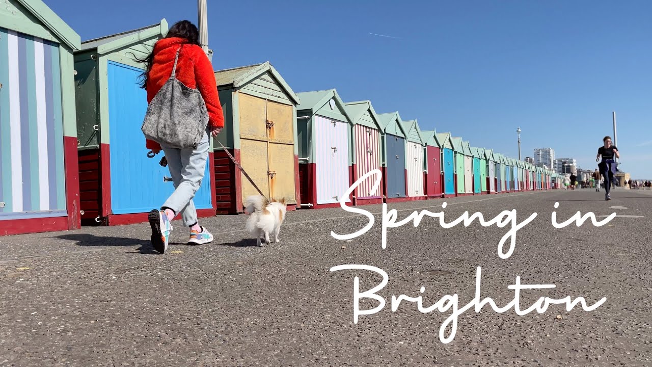 Spring Brighton Spring in Brighton | Brighton Seafront Walking | Royal Pavilion Gardens ...