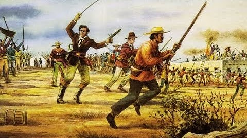 The Texas Revolution-Texas History #22