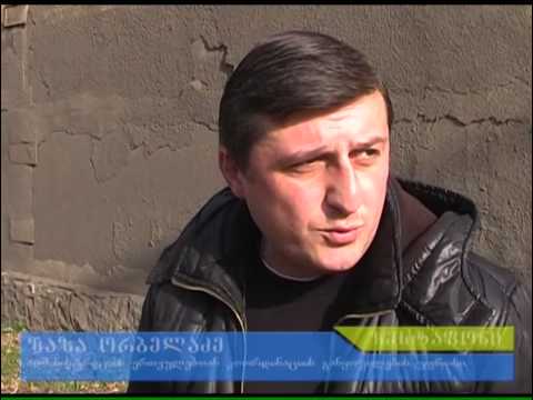 დასუფთავების საშემოდგომო აქცია