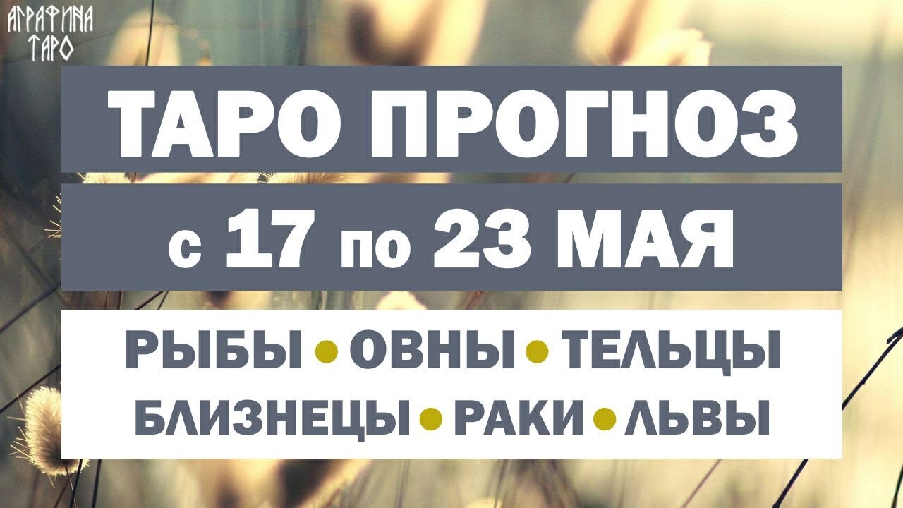 Предсказания 17. Демоверсия ЕГЭ 2023. ЕГЭ история 2023. Изменения ЕГЭ 2023 русский язык ФИПИ. ЕГЭ 2023 картинка.