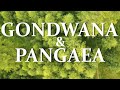 Gondwana and Pangaea supercontinents. Climate, evolution, extinctions #Gondwana #Pangaea #geology