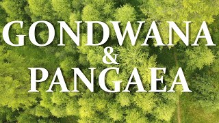 Gondwana and Pangaea supercontinents. Climate, evolution, extinctions #Gondwana #Pangaea #geology