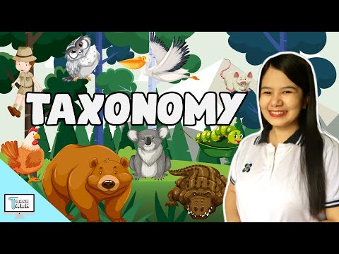 Video: Ano ang Systematics sa taxonomy?