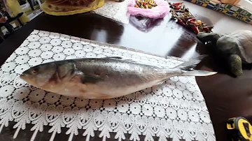 Готовим рыбу КАХАВАЙ - экзотическую вкуснятину! И любую морскую рыбу!