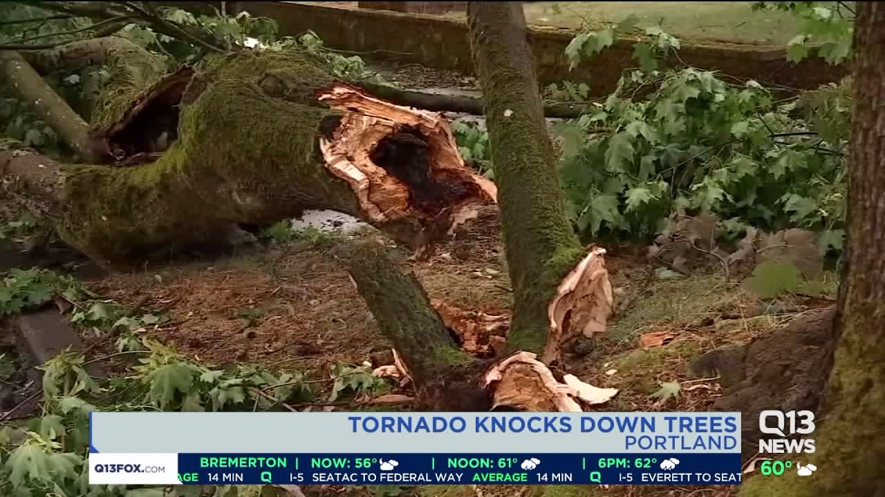 Tornado knocks down trees in Portland - YouTube
