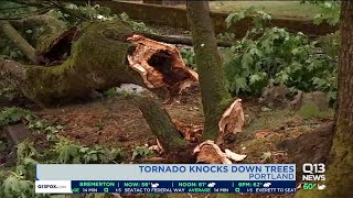 Tornado knocks down trees in Portland