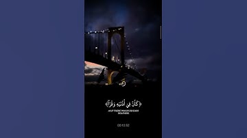 "كأن في أذنيه وقرا... فبشره بعذاب أليم | تلاوة تهز القلوب 💔 #قرآن_كريم"