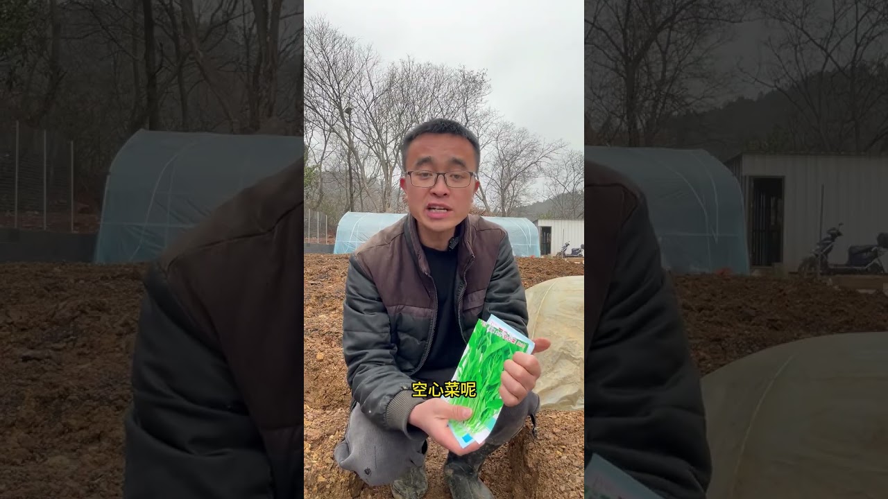 Best Time to Plant Water Spinach: Ultimate Growing Guide