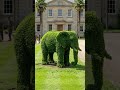 Leafy Elephant Statue in Garden #wildlife#elephant #viralvideo #elephantvideo