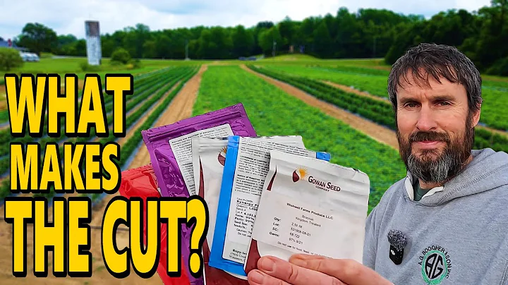 My Vegetable Farm’s BIGGEST Expense in 2026