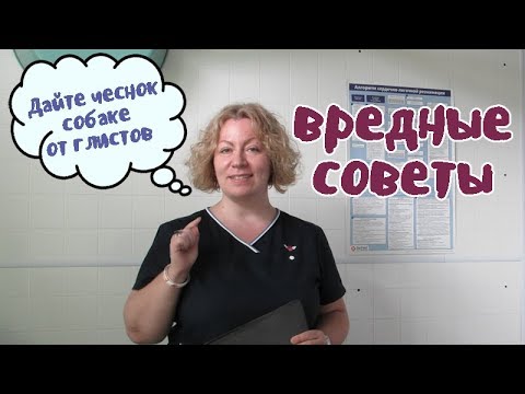 Видео: Почему собаки лают на машинах?