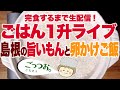 【大食い ノーカット】＃８  卵かけごはんと島根の旨いもん！１升食べきるまで生配信！#一緒にやろう【#ご飯１升ライブ 】【#ロシアン佐藤 】【RussianSato 】