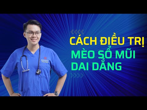 Video: Làm thế nào để loại bỏ nước tiểu mèo từ bê tông