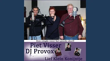 Lief Klein Konijntje (feat. DJ Provox)