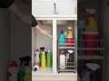 Best Under-Sink Organizer Rack for Small Apartment Kitchen & Bathroom