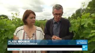 23901 economics agriculture 003 001 France 24 Bordeaux ׃ la capitale du vin 09 20