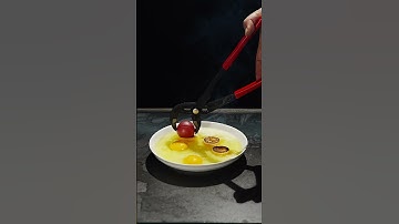 1000c RHCB vs Eggs ! What