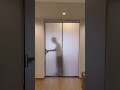 Elegant Sliding Door Design Ideas | Home Organization #slidingdoor #youtubeshorts #Architecture