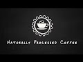 Coffee Processing Explained: What is a Natural Process Coffee? | Hasbean