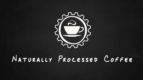 Coffee Processing Explained: What is a Natural Process Coffee? | Hasbean