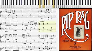 Rip Rag By Miriam Todd (1911, Ragtime Piano Solo)