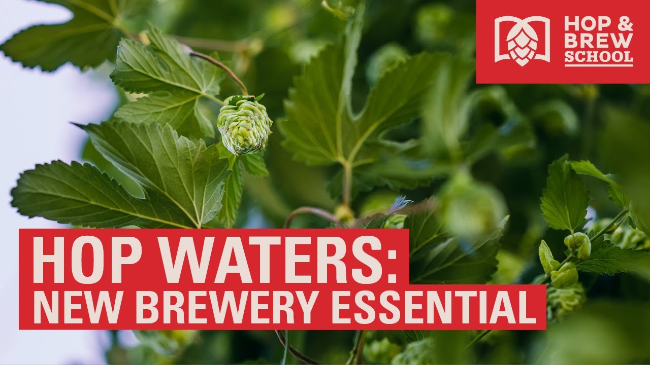 2021 HBS: HOP WATERS: A NEW BREWERY ESSENTIAL